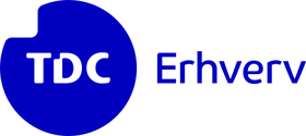 TDC_Erhverv_2021